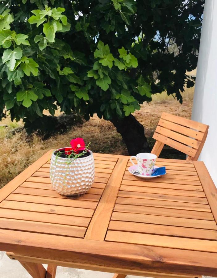 Casa 1-Quinta Dos Penedos Appartement Portalegre Buitenkant foto