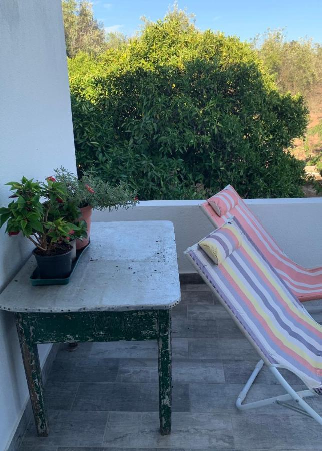 Casa 1-Quinta Dos Penedos Appartement Portalegre Buitenkant foto